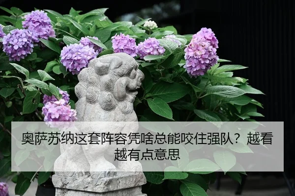ao-sa-su-na-zhe-tao-zhen-rong-ping-sha-zong-neng-yao-zhu-qiang-dui-yue-kan-yue-you-dian-yi-si-2-641.jpg